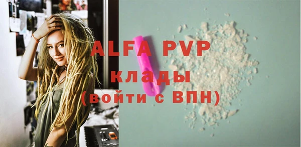 крисы Алексин