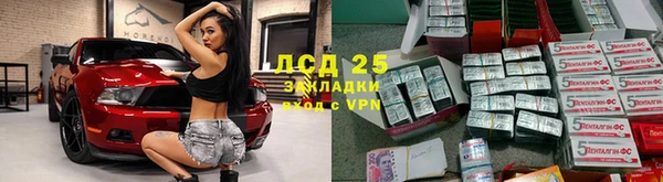 крисы Алексин