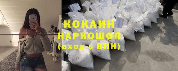 твердый Алзамай