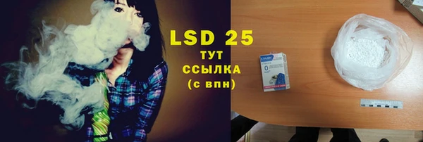 крисы Алексин
