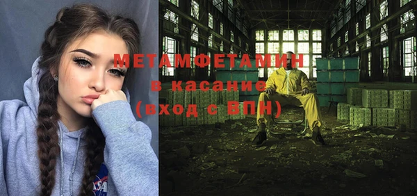 крисы Алексин