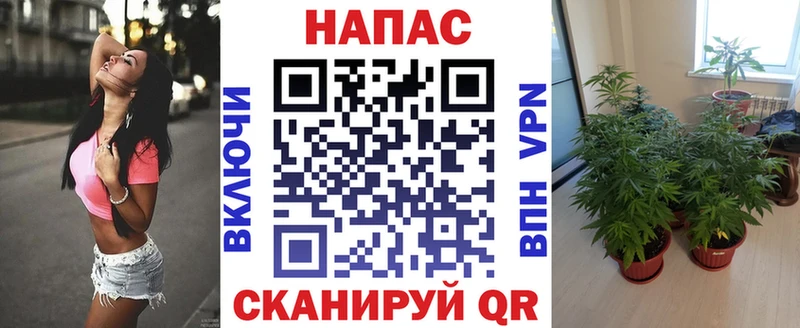 Шишки марихуана планчик Купить Сухой Лог